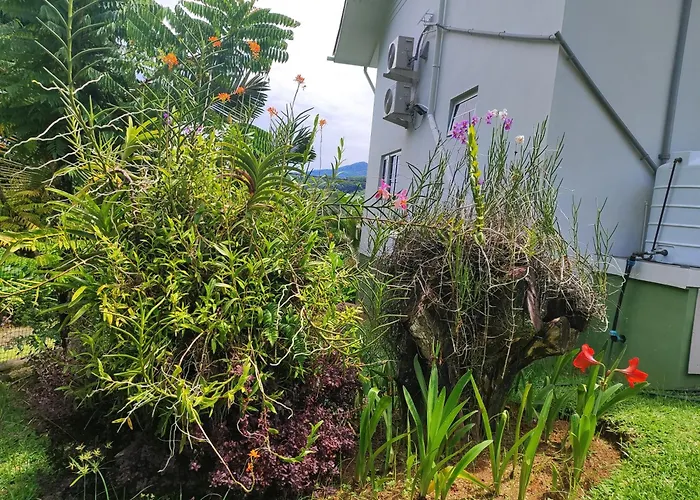 Apartment Reve Tropical D'hotes