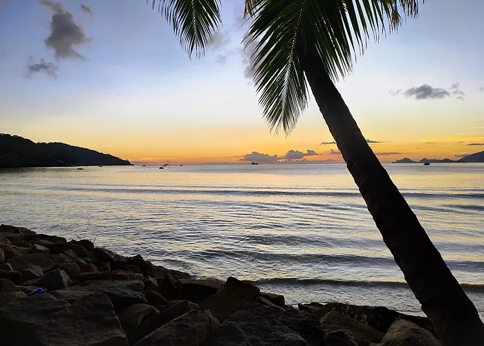 Apartment Reve Tropical D'hotes Anse a La Mouche