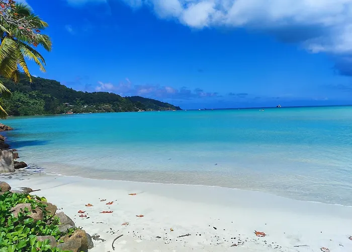 Apartment Reve Tropical D'hotes Anse a La Mouche