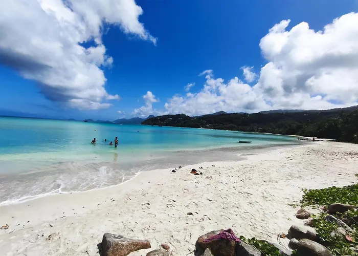 Reve Tropical D'hotes * Anse a La Mouche