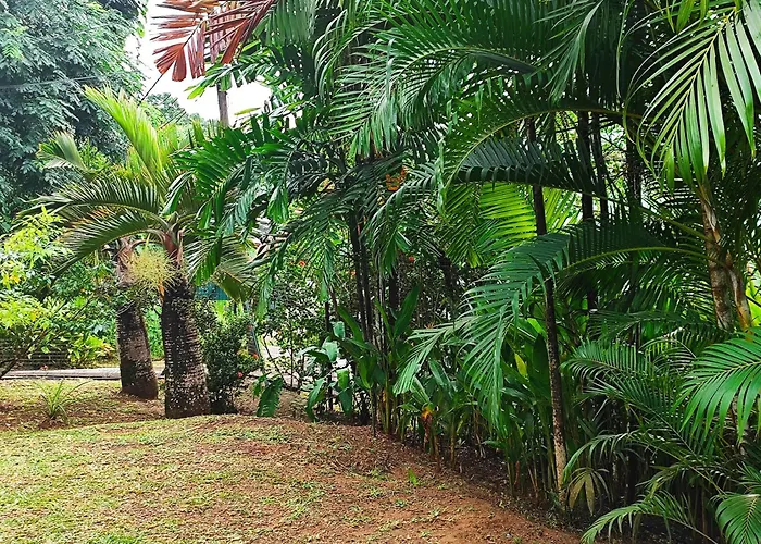 Reve Tropical D'hotes Apartment